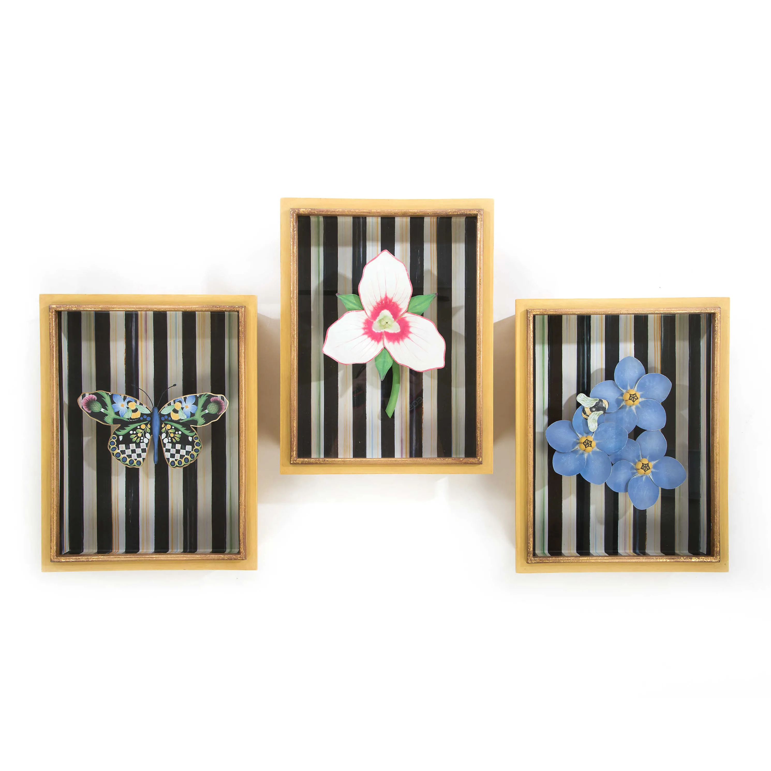Butterfly Shadow Box
