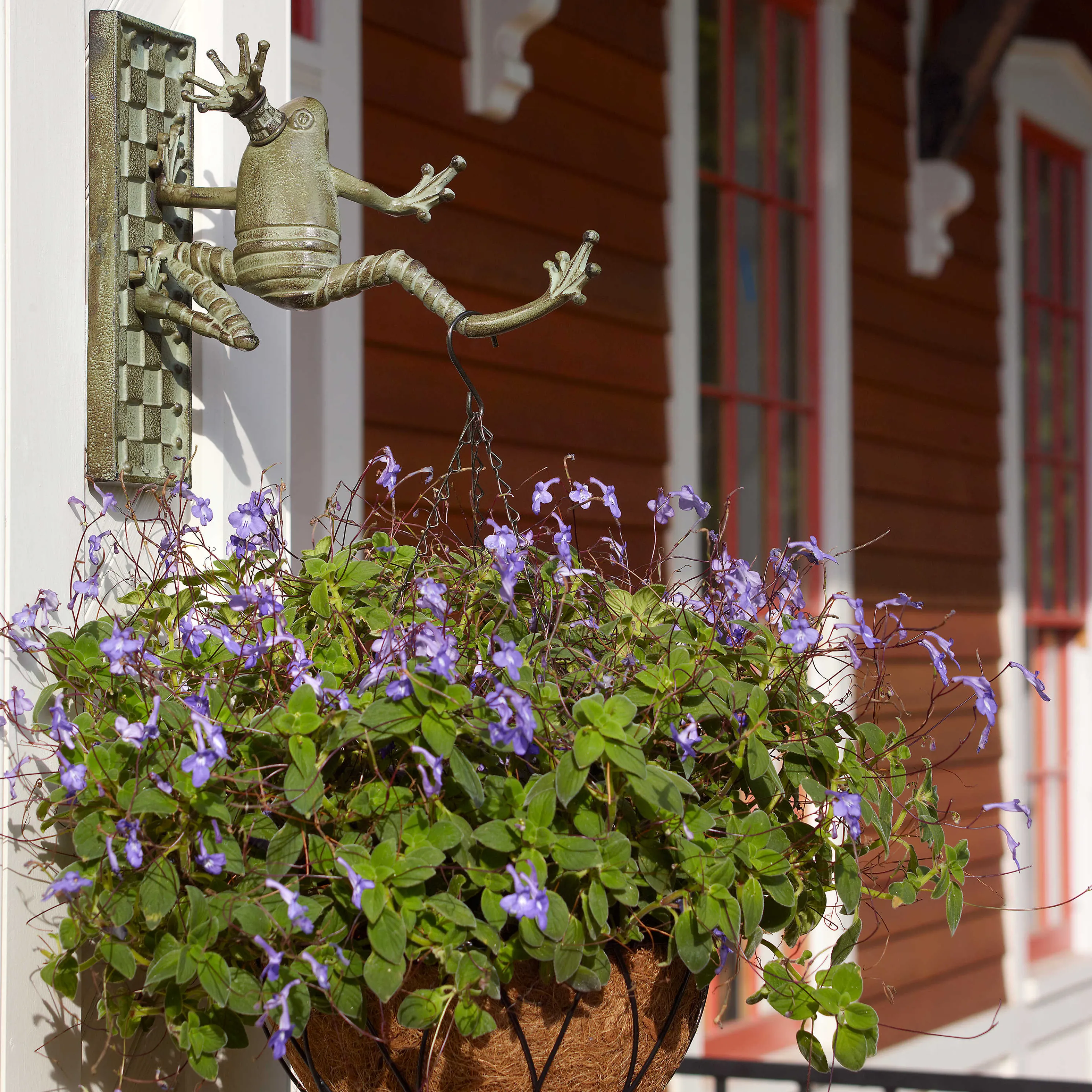 Frog Plant Hanger