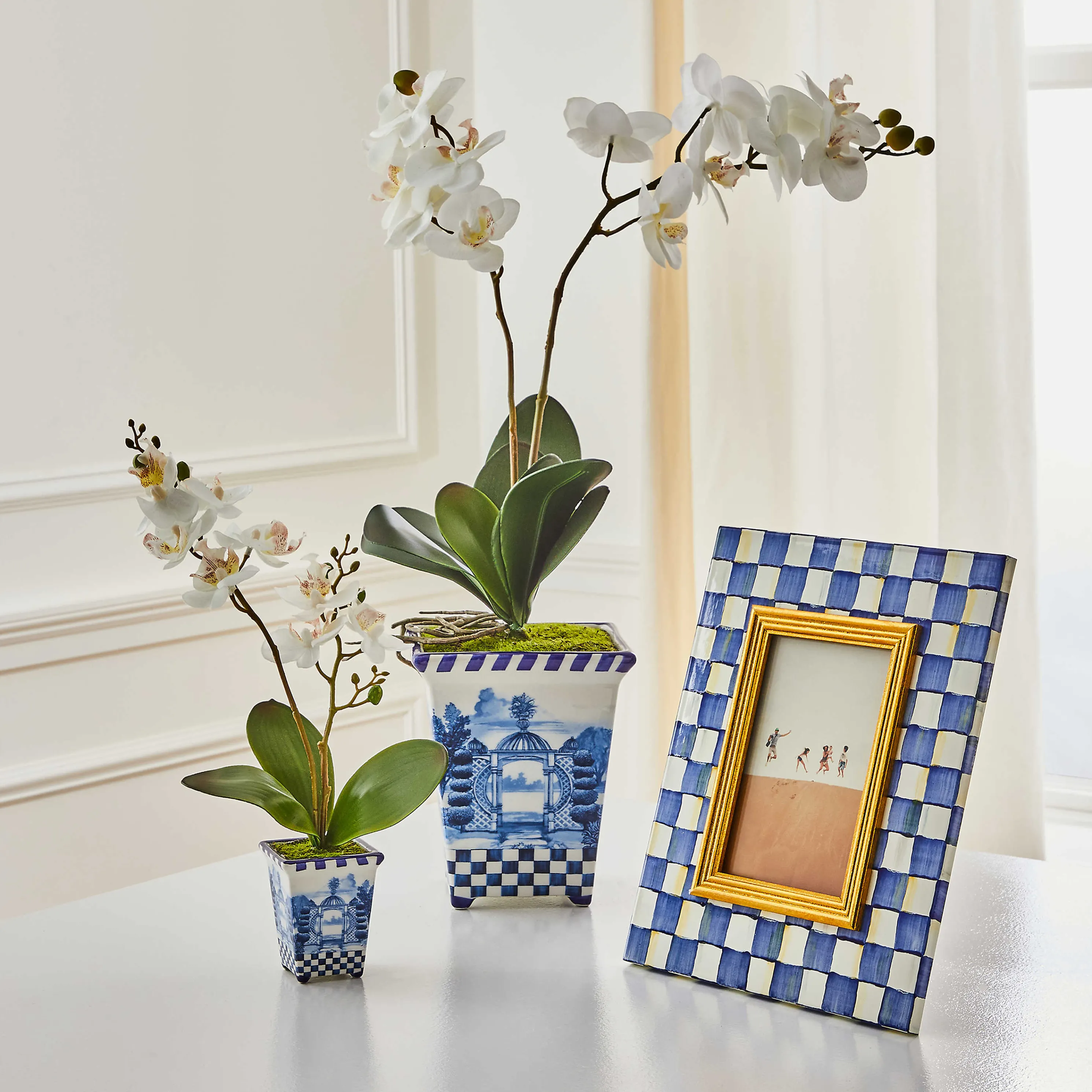 Royal Toile Potted Orchid - Small